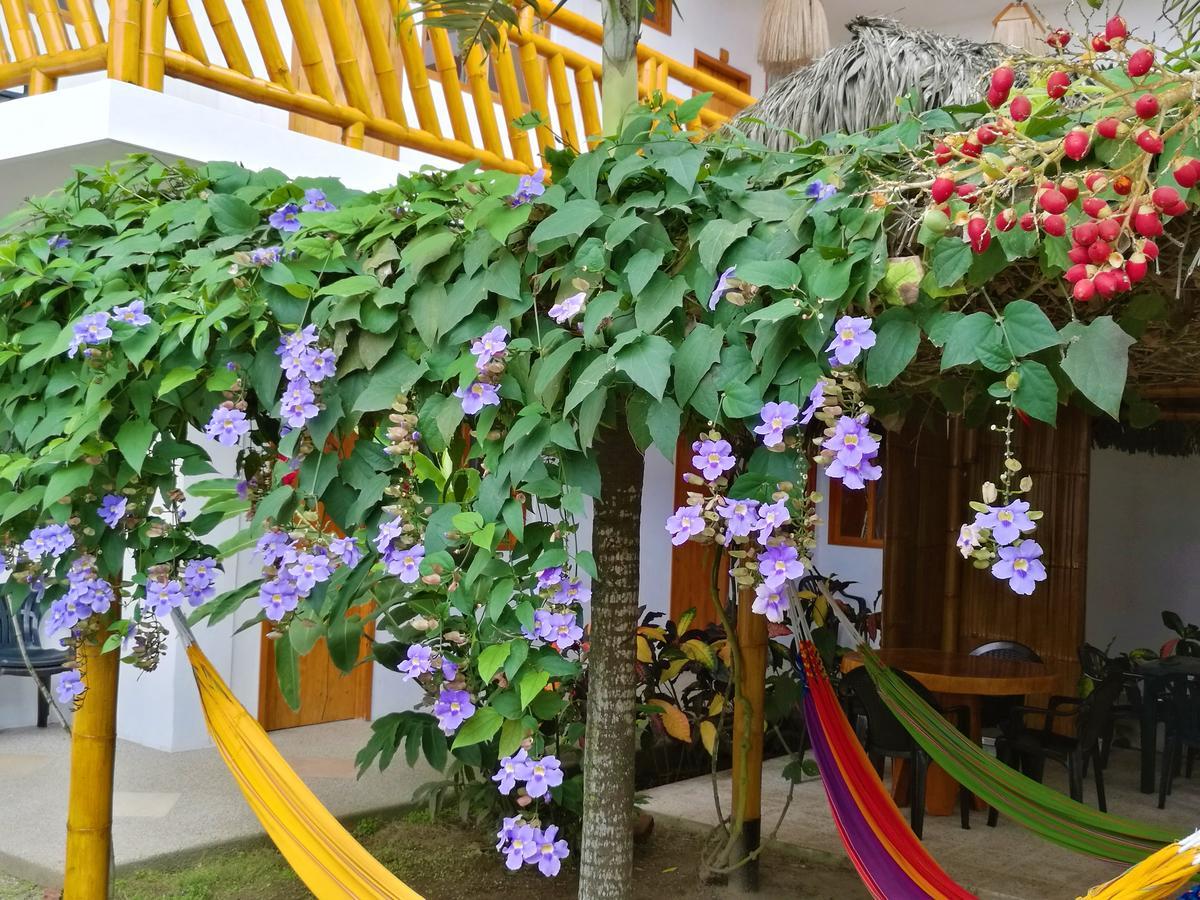 La Mariposa Hostal Олон Екстер'єр фото